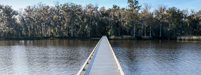 Building Photo - Fleming Island, Eagle Harbor Beautiful Hom...