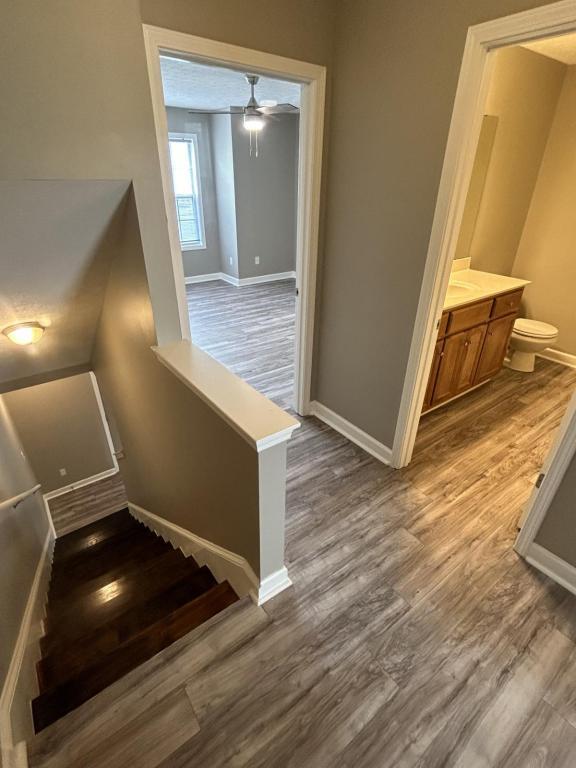 Building Photo - 125 Bon Aire Ave