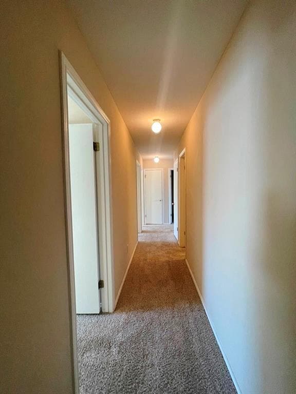 Building Photo - 209 Katy B Ln