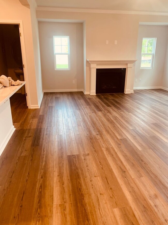 Building Photo - BRAND NEW TOWNHOME! 2 CAR GARAGE. SCREENED IN PORCH. MODERN KITCHEN. OPEN CONCEPT LIVING. BONUS ROOM