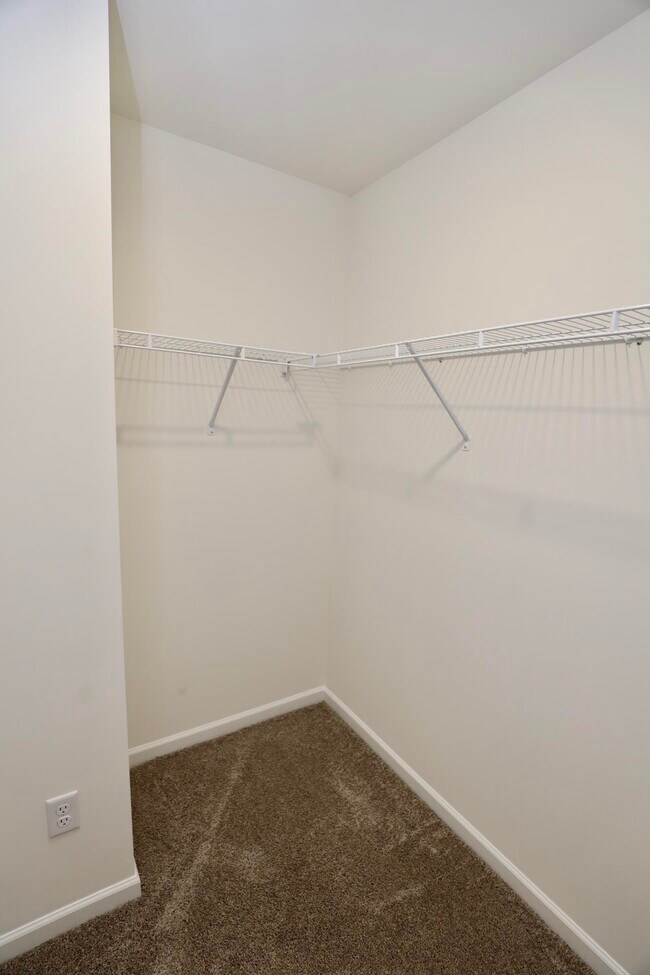 Building Photo - 1718 Canopy Dr