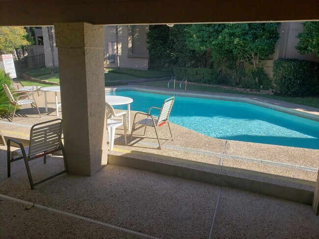 Swimming Pool - 1202 Thorpe Ln