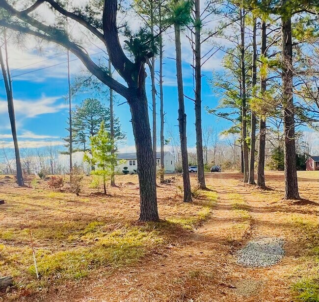 Driveway - 1682 Cartersville Rd