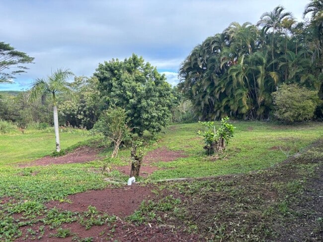 Building Photo - Gorgeous Four Bedroom / Two Bathroom On Usable Acreage