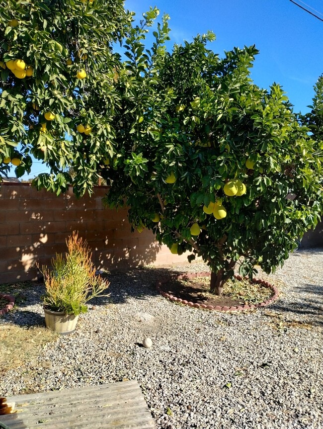 Building Photo - 7800 Fairchild Ave