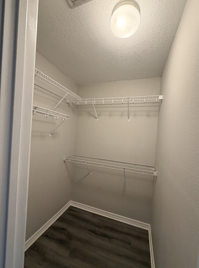 Building Photo - 7738 Lola Cir