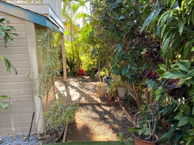 Building Photo - South Pointe Kihei Two Bedroom