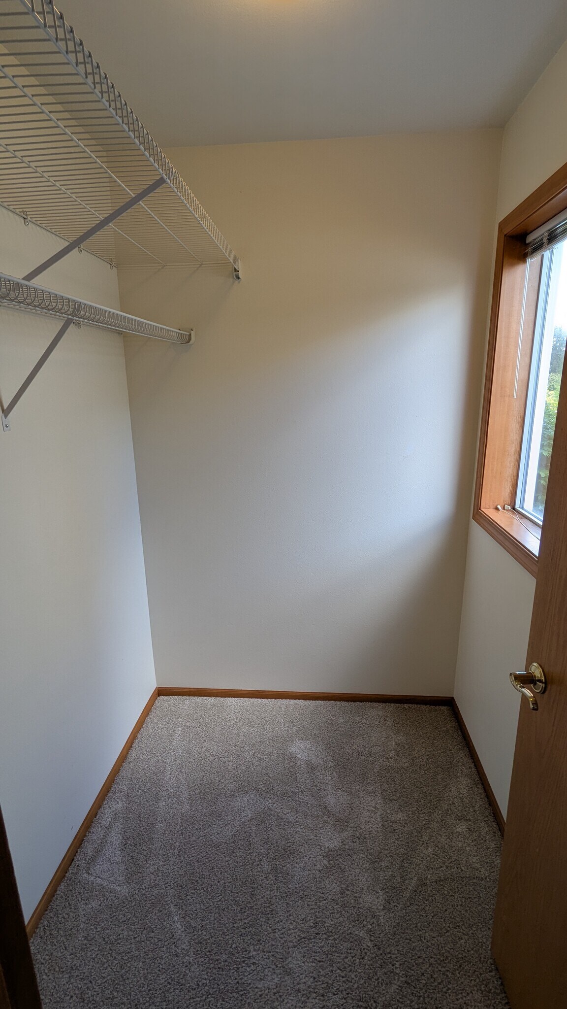 Building Photo - 517 Main Place