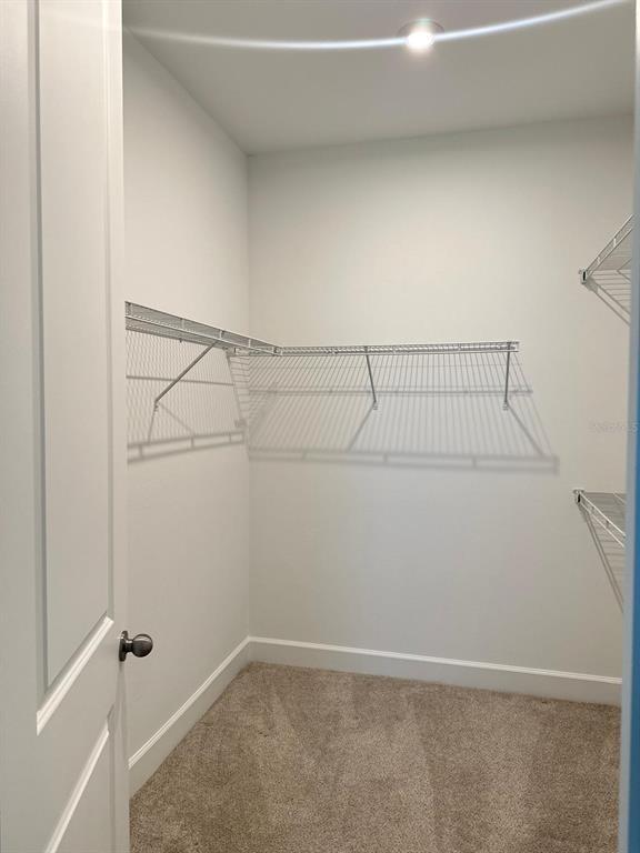 Building Photo - 3220 Canna Lily Pl