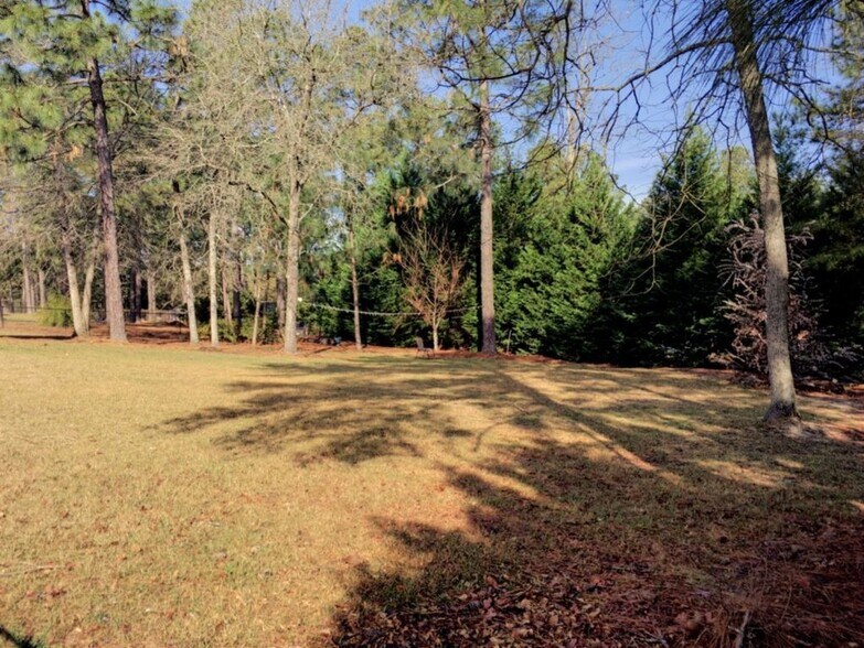 Backyard - 121 Rothbury Dr