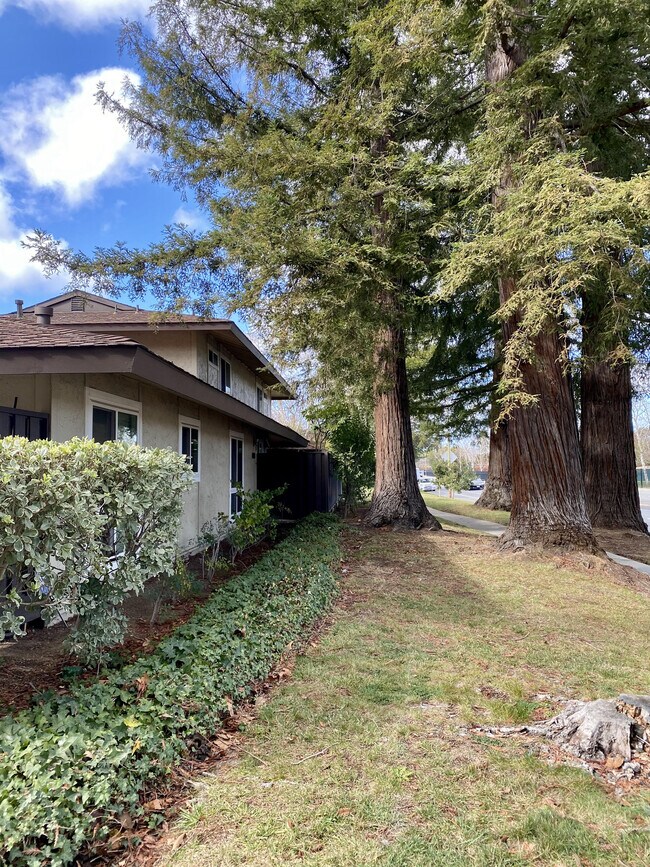 Building Photo - 4971 Ponderosa Ter