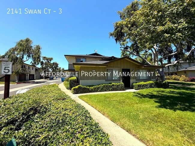 Primary Photo - 2141 Swan Ct