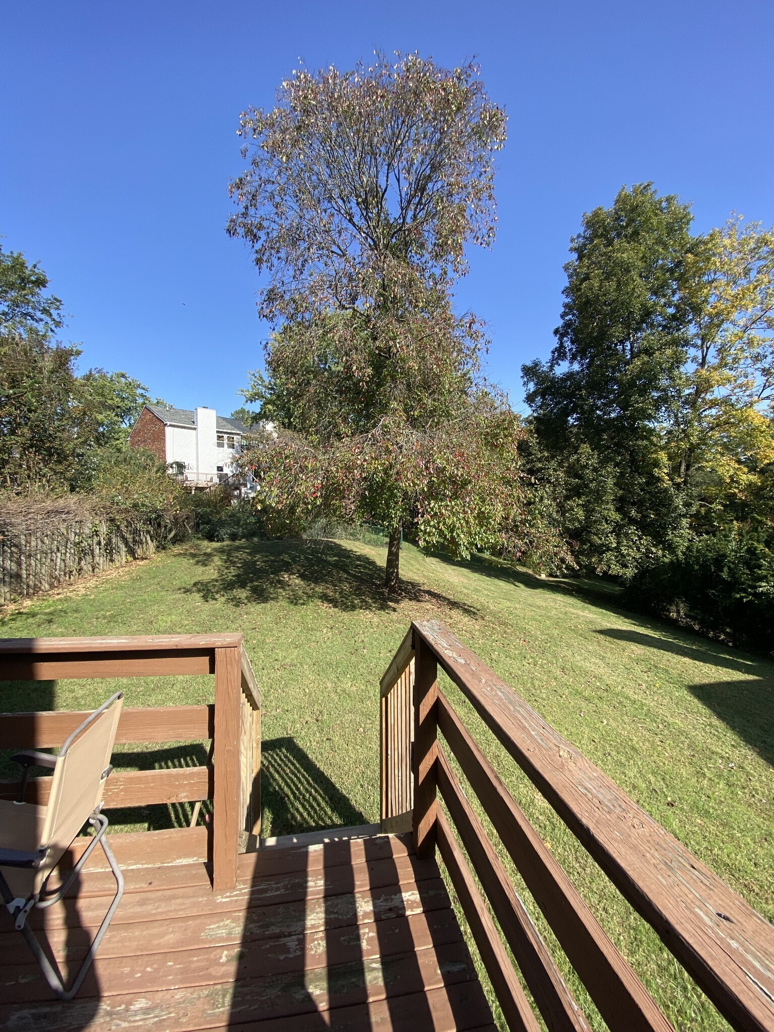 Building Photo - 911 Hammack Dr