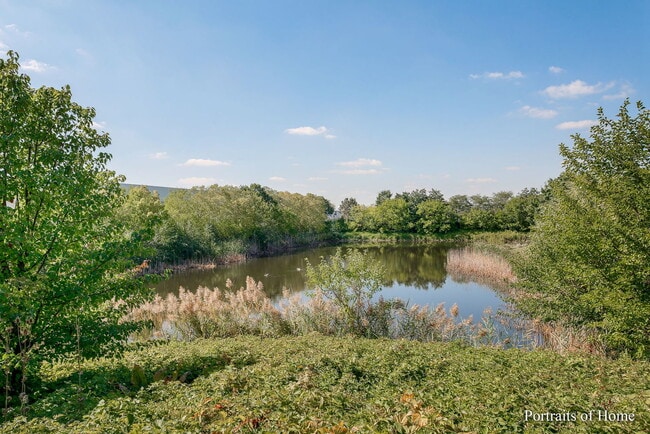 Building Photo - 1453 Blackhawk Ct