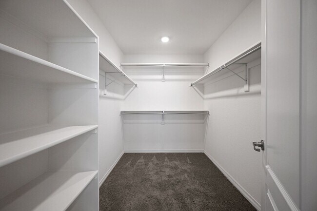 Building Photo - Modern 5BR House in Parker