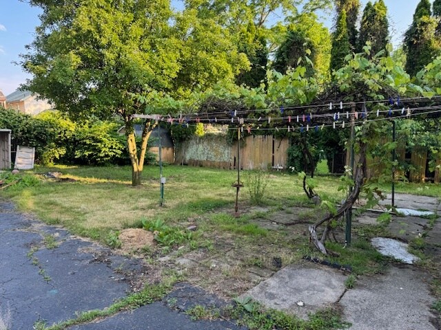Quiet yard, With Pear tree and Grape vines - 121 Morris Ave