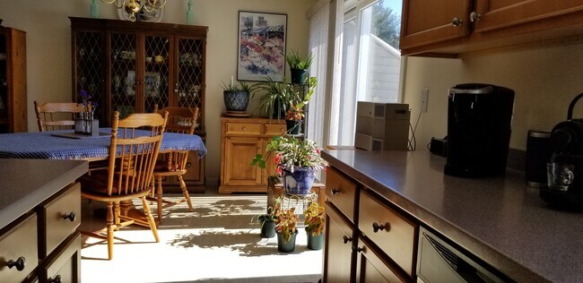 Building Photo - 7B Farnum Ct