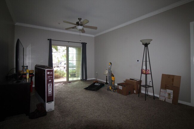 Building Photo - 1st Floor Condo in S. Fort Collins