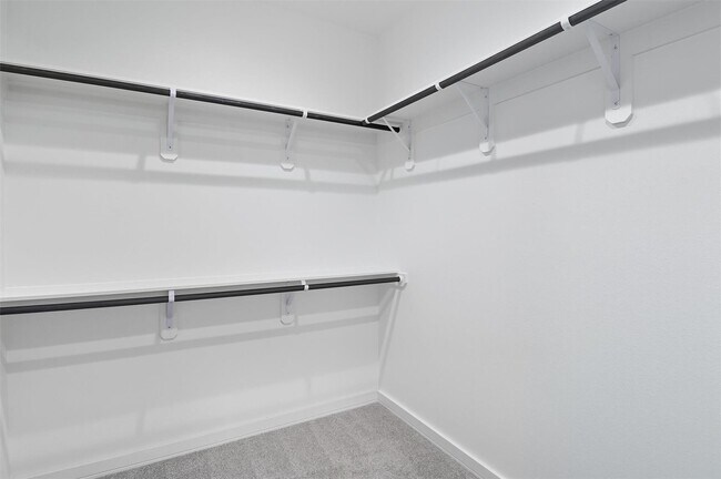 Building Photo - 2929 El Fenice Ln