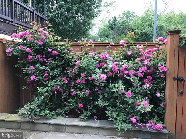 Building Photo - 2442 20th St NW