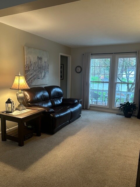 TV Room - 411 Lundy Ct