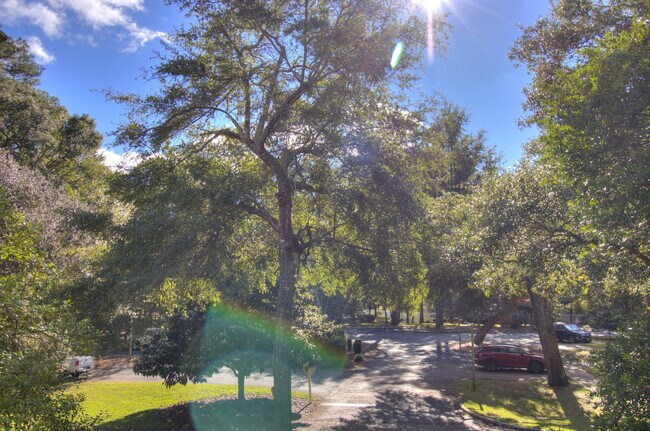 Building Photo - 301 Myrtlewood Ct