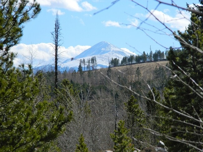 Building Photo - 55 Salt Lick Pl