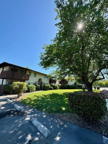 Primary Photo - El Sereno Apartments