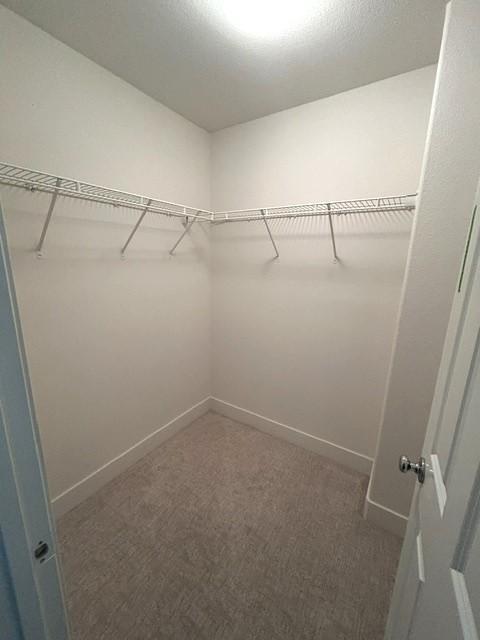 Building Photo - 1043 Saltbush Ln