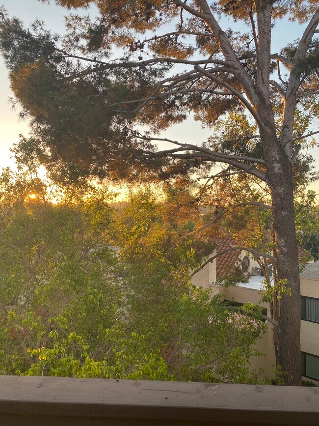 Building Photo - 355 Windy Ln