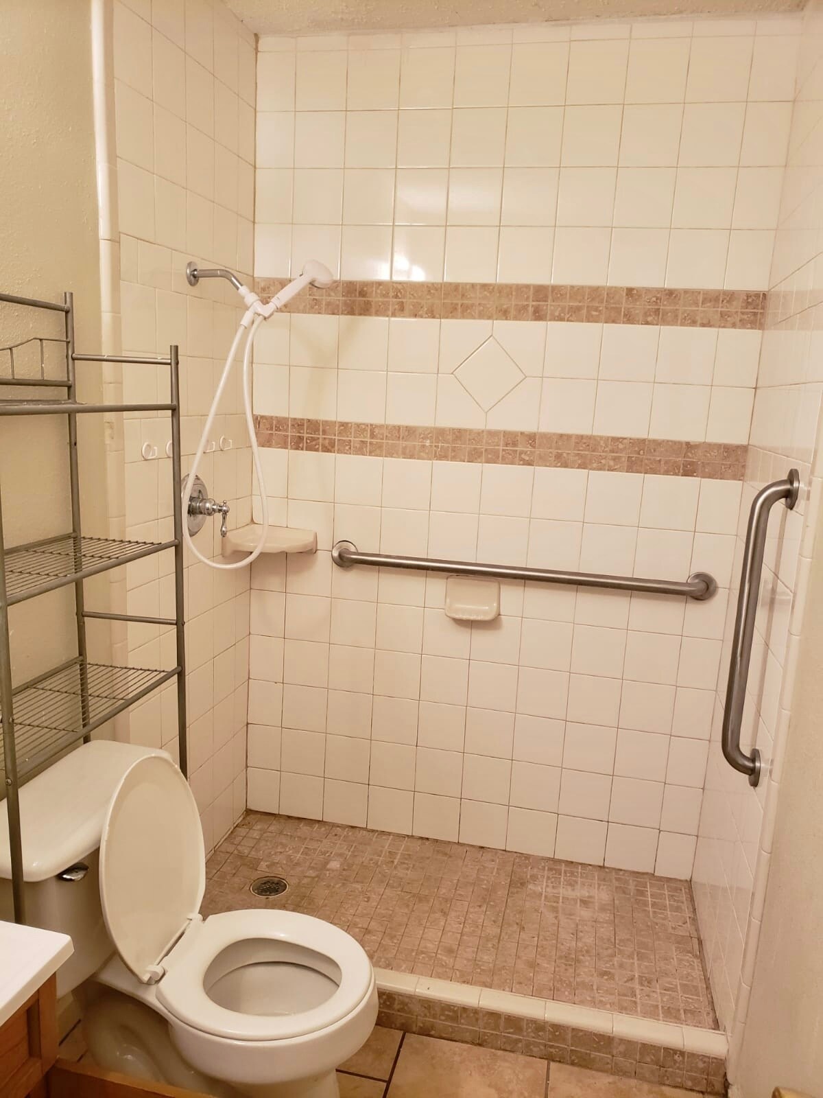 Toilet/Bath - 605 Lilac