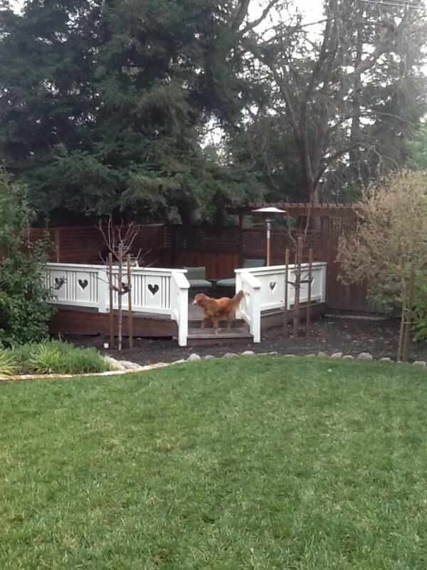 Building Photo - 199 Saranap Ave