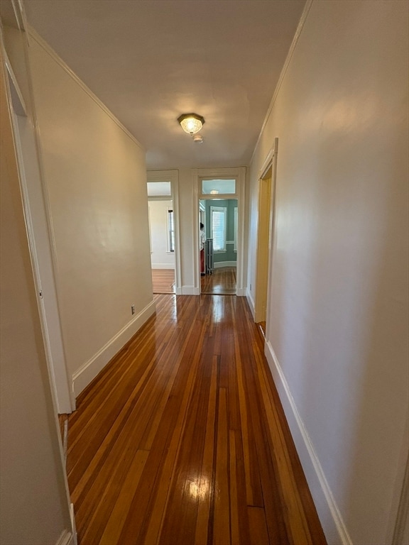 Building Photo - 62 Ibbetson St