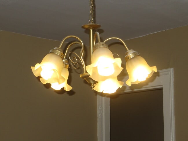 Building Photo - Two Bedroom Home with a bonus room/3rd bedroom in Historic District (Williams-Woodland Historic P...