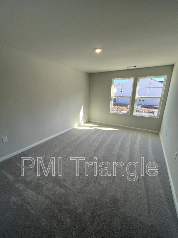 Building Photo - 1615 Singing Bird Trl