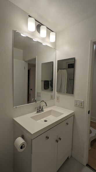 New vanity, sink, shower,tub, toilet. - 3131 S Canfield Ave