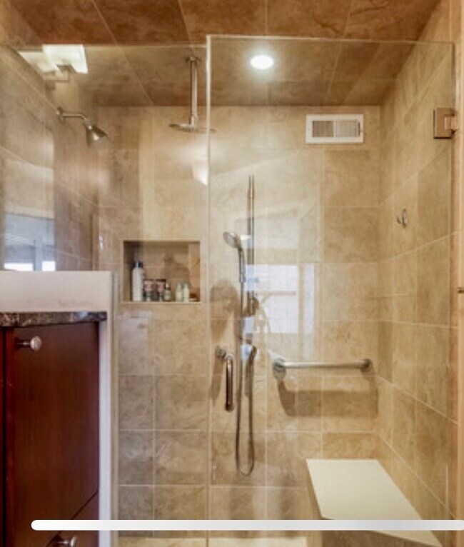 Primary shower with bidet, bench, rain shower, body sprays - 1000 N Lake Shore Dr