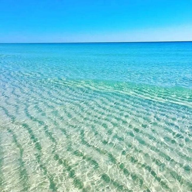 Building Photo - 79 Redfish Cir