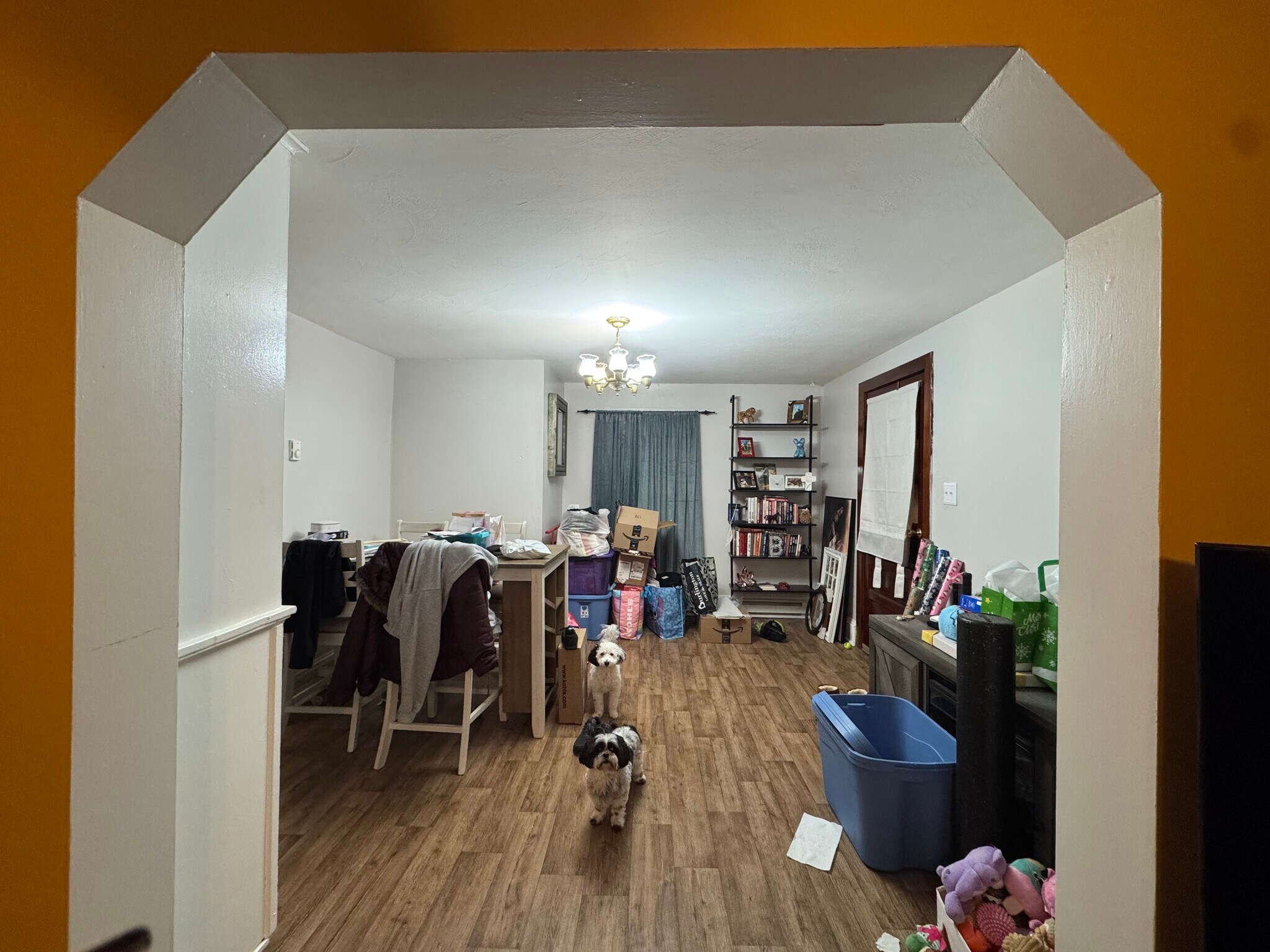 Building Photo - 186 Bradley St