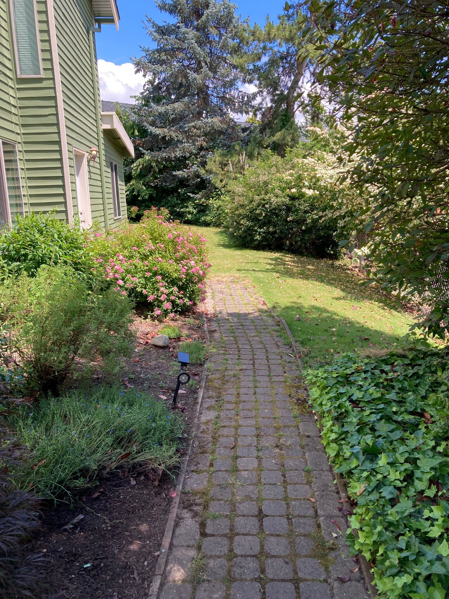 Walkway - 8208 NE 115th Way