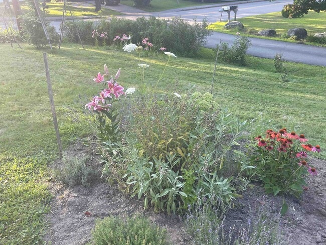 Building Photo - 35 Mill Pond Rd