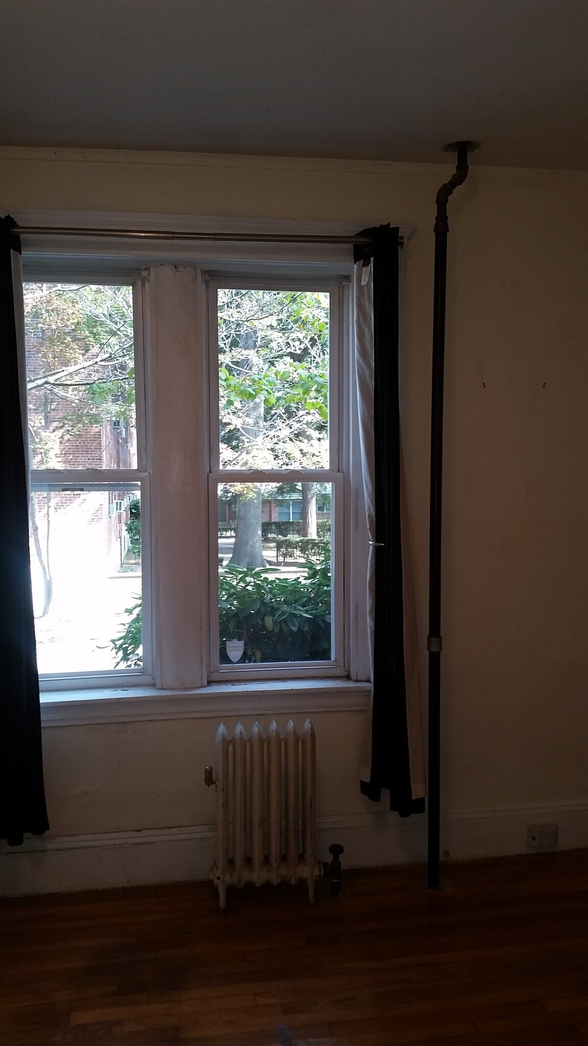 Building Photo - 60 Egmont St