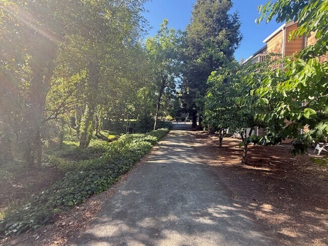 Building Photo - Renovated 2-Bedroom Condo in Martinez