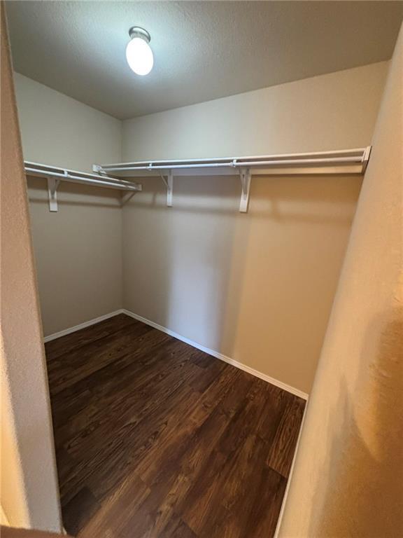 Building Photo - 601 Lasso Ln