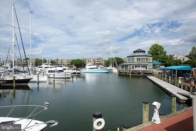 Building Photo - 7025 Chesapeake Harbour Dr E