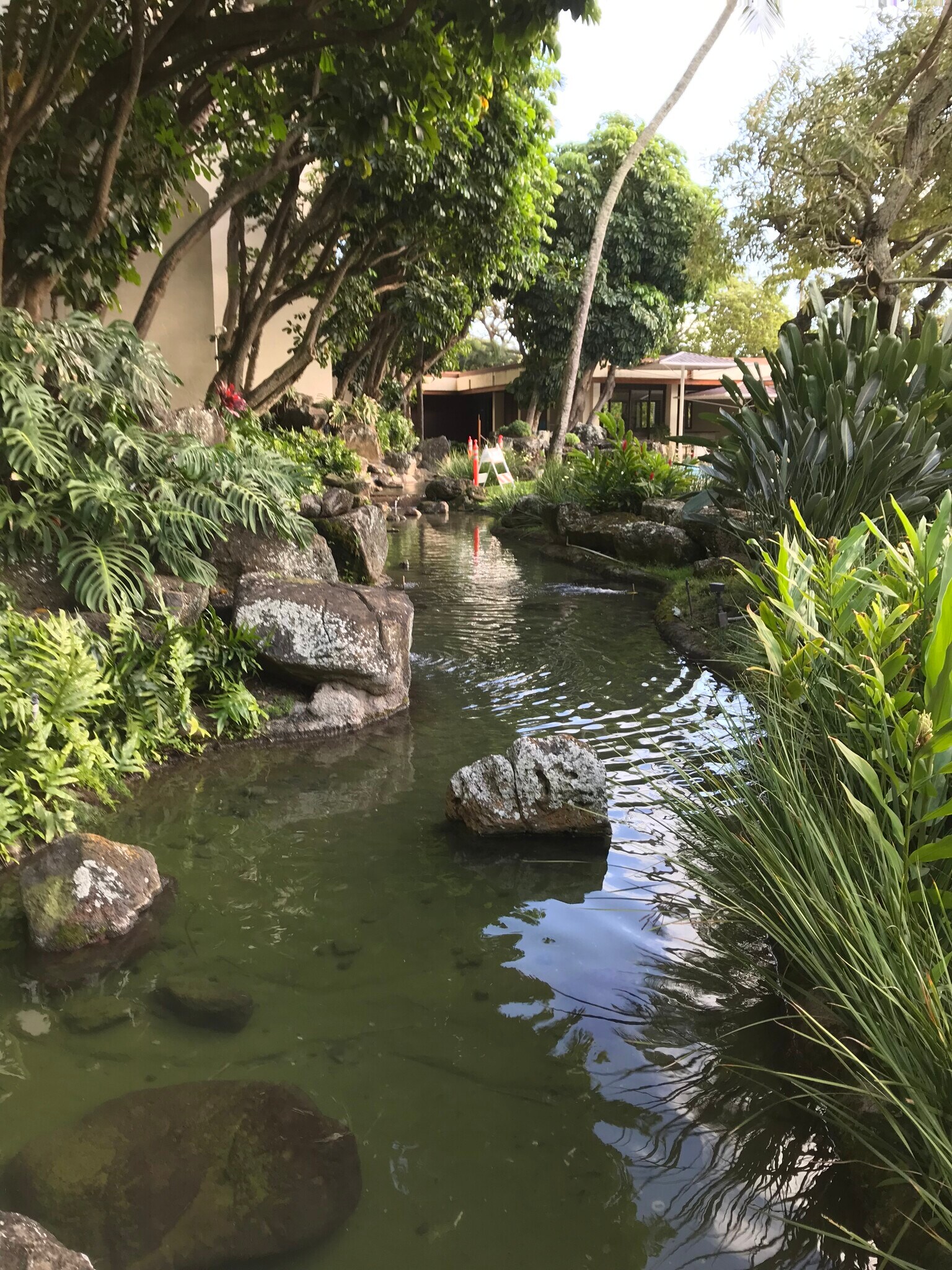 Ponds/rivers on property - 501 Hahaione St