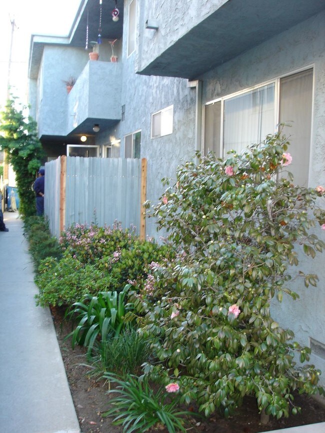 Exterior View - 3531 Clarington Ave