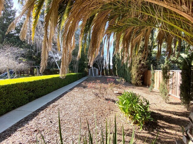 Building Photo - Extraordinary home with expansive yard on a flag lot in Mountain View.  Great Location and Schools.