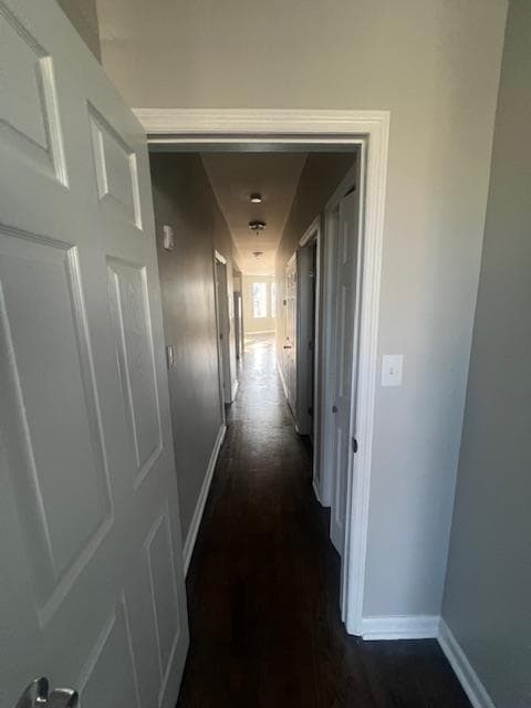 Building Photo - 83 Clerk St