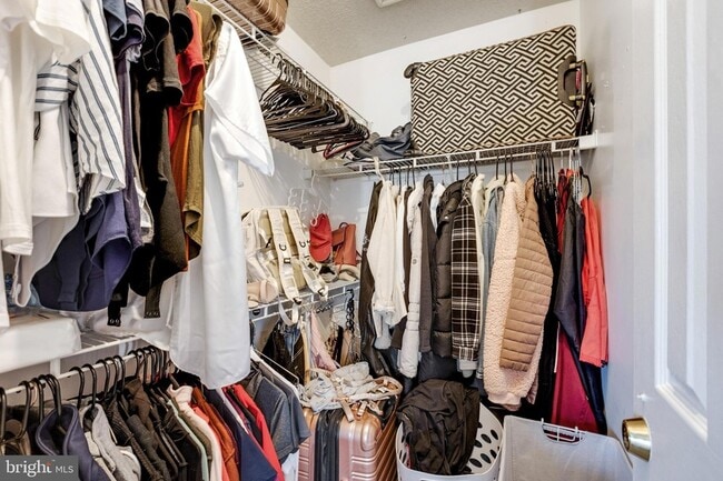 Building Photo - 8329 Founders Woods Way